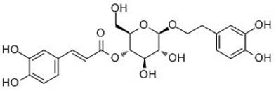 Calceolarioside A