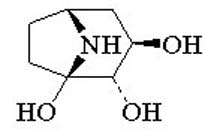 Calystegin A3