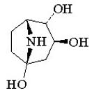 Calystegine A5