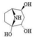 Calystegine A7