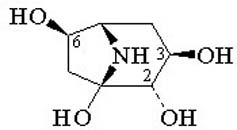 Calystegine B1