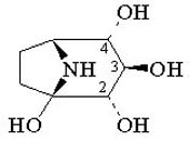 Calystegine B2
