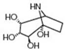 Calystegine B4