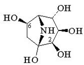 Calystegine C2
