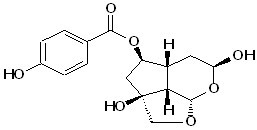 Catalpin