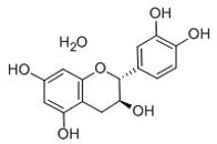 (+)-Catechin hydrate