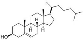 Cholesterol