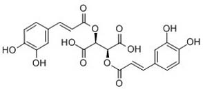 Cichoric Acid