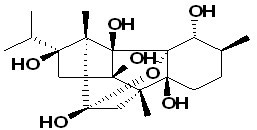Cinnzeylanol