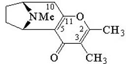 Darlingine