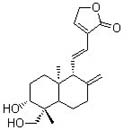 Dehydroandrographolide