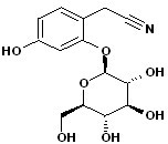 Ehretioside B
