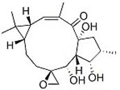 Epoxylathyrol