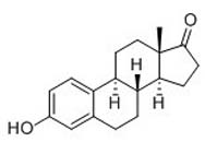 Estrone