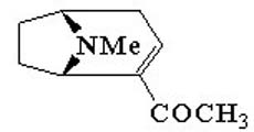 Ferruginine