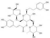 Forsythoside B