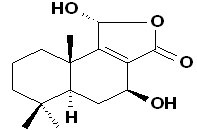 Fuegin