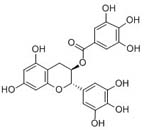 (-)-Gallocatechin gallate