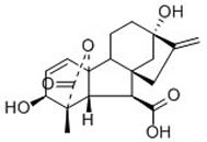 Gibberellins