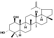 Glochidiol