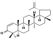 Glochidone