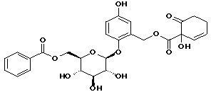 Homaloside D