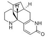 Huperzine B