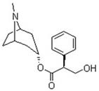 Hyoscyamine