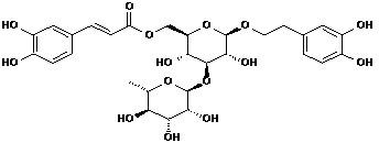 Isoacteoside
