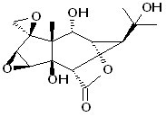 Isohyenanchin