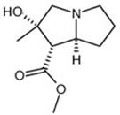 Isotussilagine