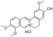 Jatrorrhizine Hydrochloride