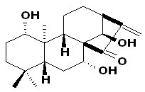 Kamebanin