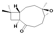 Kobusone