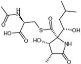 Lactacystin