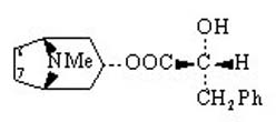 Littorine