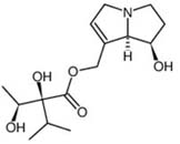 Lycopsamine