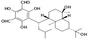 Macrocarpal J