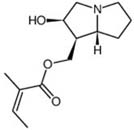 Macrophylline
