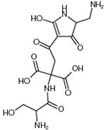 Malonomicin