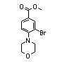 Methyl 3-Bromo-4-morpholinobenzoate