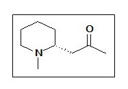 Methylisopelletierine