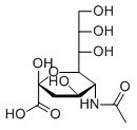 N-Acetylneuraminic acid