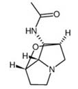 N-Acetylnorloline