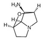 N-Demethylloine