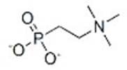 N,N,N-Trimethyl-2-aminoethylphosphonate