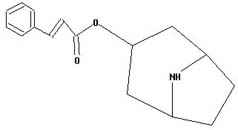 Nortropinyl cinnamate