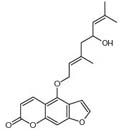 Notopterol