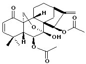 Odonicin