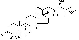 Phellochin